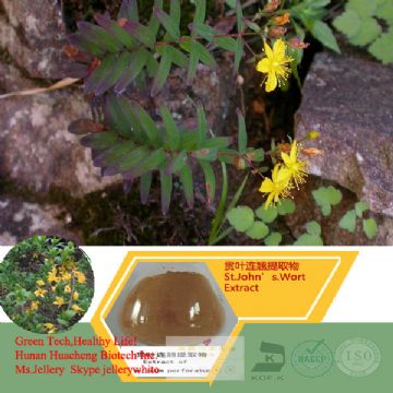 St.John’S.Wort Extract